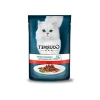 Izgara Sığır Etli Tam Yaş Kedi Maması 85 g