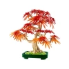 Japon Kırmızı Akçaağaç Bonsai Ağacı Yapım Seti, 474 Parça