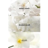 Kadın Parfümü - 30 ML EDP