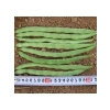 Kaliteli Alman Ayşe Fasulye Tohumu - 25 Gram