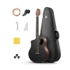 Karbon Fiber Akustik Gitar Seti - Mat Kahverengi