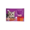 Karma Lezzetler İçeren Yetişkin Konserve Kedi Maması 4 Adet 85 Gr