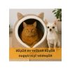 Katlanabilir Peluş Kedi ve Köpek Yatağı (Bej, L)