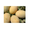 Kavun Ananas Tohumu - 10 Gram