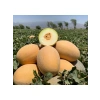 Kavun Ananas Tohumu - 5 Gram