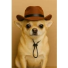 Keçe Malzeme Kedi ve Küçük Irk Köpek Kovboy Şapkası