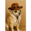 Keçe Malzeme Kedi ve Küçük Irk Köpek Kovboy Şapkası