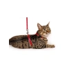 Kedi için 110 cm Uzatma ve Göğüs Tasma, Kırmızı