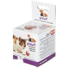 Kedi İçin 5.5 cm Ödül Topu - Eğlenceli ve Kaliteli