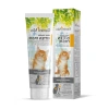 Kedi Kitten Multivitamin Macun, 100 gr - Pratik ve Besleyici