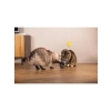 Kedi Oyuncağı, Hacıyatmaz Tasarım, Uçucu Tüy ve Top