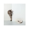 Kedi Şeklinde Seramik Ödül Kabı - 200 ml Kapasiteli