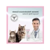 Kedi Yavru ve Anne Enerji Desteği Pasta (100 gr)