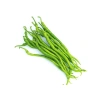 Kıl Tatlı Biber Tohumu - Çoklu Seçenek - 5 Gram