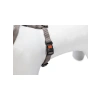Kilitli Göğüs Tasma, XS, 25-40 cm, Gri Renk