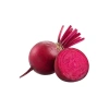 Kırmızı Pancar Tohumu - 5 Gram