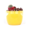 Kırmızı Pomza Taşı - 2-3 cm Volkanik Cürüf