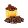 Kırmızı Pomza Taşı - 2-3 cm Volkanik Cürüf