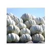 Kış Kabak Tohumu - 10 Gram