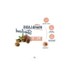 Kısırlaştırılmış Kediler İçin Somonlu Mama - 10 Kg