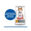 Kısırlaştırılmış Yetişkin Kediler İçin Tavuklu Mama - 8+2 kg