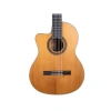 Klasik Gitar Eklentisi - Reguis CEQ Elk.
