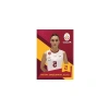 Koleksiyonluk Voleybol Kart Serisi