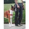 Konforlu ve Güvenli Köpek Koşum Takımı