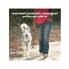 Konforlu ve Güvenli Köpek Koşum Takımı