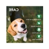Köpek Ağız Bakım Köpüğü - 150 ml (2 Paket)