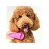 Köpekler için Ergonomik Tüy Bakım Fırçası - Pembe ve Sarı