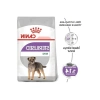 Küçük Irk Kısırlaştırılmış Köpek Maması, 3 Kg