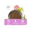 Küçük Irk Yaşlı Köpek Maması - 2.5 kg