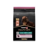 Küçük Irk Yetişkin Köpek Maması Somonlu, 3 kg