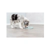 Küçük ve Orta Boy Köpekler İçin Sabitlenebilir Yala Matı 8-12 cm x 13 cm