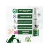 Kuru Köpük Şampuan - Aloe Vera İçerikli, 250 ml