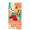 Kuzu Etli ve Pirinçli Kuru Köpek Maması, 15 kg, Yetişkinler İçin