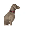 L Boy, Yansıtıcı ve Neopren Pedli Köpek Tasma