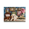 Labrador Temalı 500 Parça Puzzle