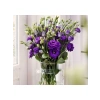 Mavi Renkli Katmerli Bodur Lisianthus Çiçeği Tohumu - 5 Tohum