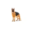 Maxi Adult Köpek Maması, 15 kg