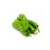 Mazamort Biber Tohumu - 5 Gram