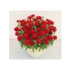 Mini Çok Çiçekli Kırmızı Zinnia Tohumu - 8 Adet