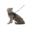 Nefes Alabilen Konforlu Kedi Göğüs Tasması Seti (Medium, Siyah)