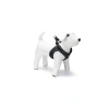 Neopren Köpek Göğüs Tasması, Siyah, XS (30-35cm)