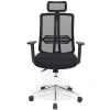 Ofis Koltuğu - Ergonomik Makam Koltuğu