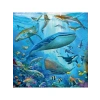 Okyanus Hayvanları Temalı 3x49 Parçalı Puzzle