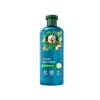 Onarıcı Argan Yağı ile Zenginleştirilmiş Şampuan 350ml