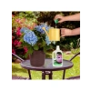 Ortancalar ve Açelyalar İçin Sıvı Besin Gübre, 500 ml