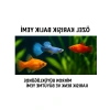 Özel Karışık Balık Yemi - 100 g, Mikro Granül & Toz